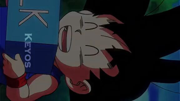 animix - 08 Son Gokou