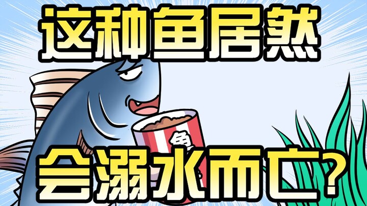Bạn có muốn trở thành một con cá muối sẽ bị chết chìm không?