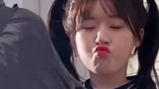 คุณเคยได้ยินไหม? คู่รักงี่เง่าชมรมเทนนิสข้างบ้านน่ารักจัง! |. สามคู่ฝันถึงละครโรงเรียนสัตว์เลี้ยงแสน