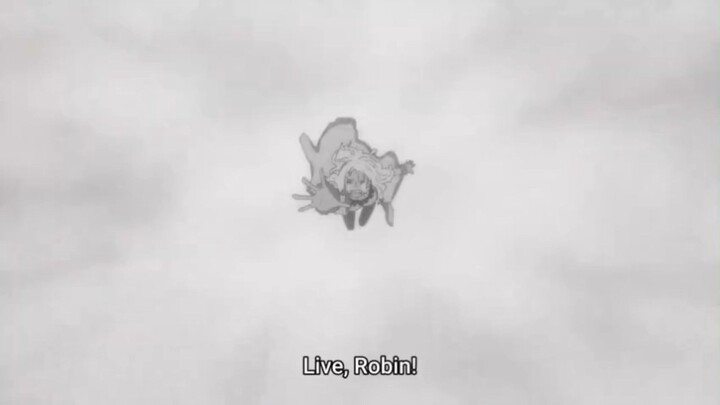 robin