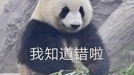 เมิงหลันที่กินไผ่จนหมดตอนดึก หมีตัวอื่นๆ บอกว่า “กลัวนอนไม่ลง กลัวจริงๆ นอนตื่นมาแล้วจะไม่มีอะไรกิน!