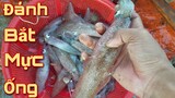 Đánh bắt mực ống và nấu ăn bữa cơm trên ghe | Fishing
