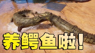 Yay! Cuối cùng mình cũng bắt được một con cá sấu! Thật là hiếm! [Sở thú Hành tinh #9]