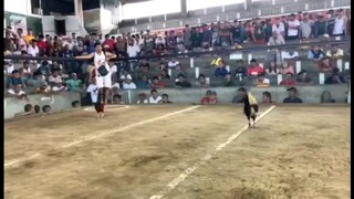 #rmcgamefarm