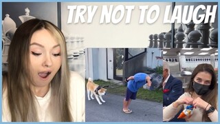 98% Fail This Try Not To Laugh CHALLENGE