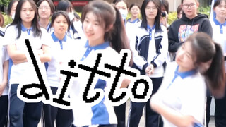 毕业季当然要跳ditto啦