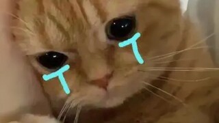 重回我们相遇得第一面