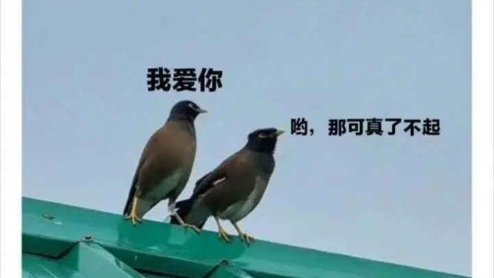 When Your Girlfriend Is Angry