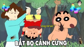 Mùa Hè Shin Đi Bắt Bọ Cánh Cứng | Shin Cậu Bé Bút Chì | #CHIHEOXINH