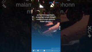 Punya Kebiasaan Nangis Sambil Manjat Pohon, Aksi Cowok Ini Tarik Perhatian Warga