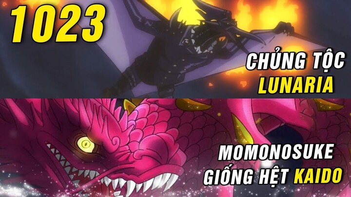 [ Spoiler One Piece 1023 ] Chủng tộc King là LUNARIA , Rồng Momo giống Rồng Kaido , Sanji Cyborg ???