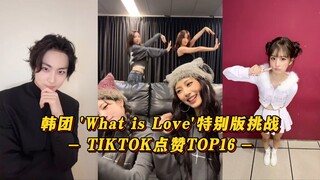 【What is Love】本尊兔发一天冲播放第一！祯元和James突破百万！师妹雪允也来！韩团 '问爱进行曲' 挑战TIKTOK点赞TOP16