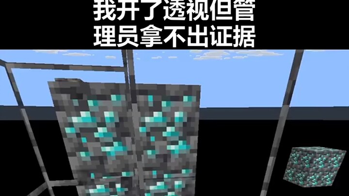 Minecraft: Bro mines without placing any torches!