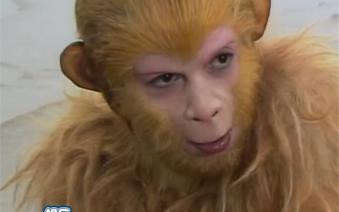 كما توقعت، عندما كنت صغيرًا وصادفت قردًا مذهلًا جدًا، فلن أنساه أبدًا عندما أكبر "سون ووكونغ"