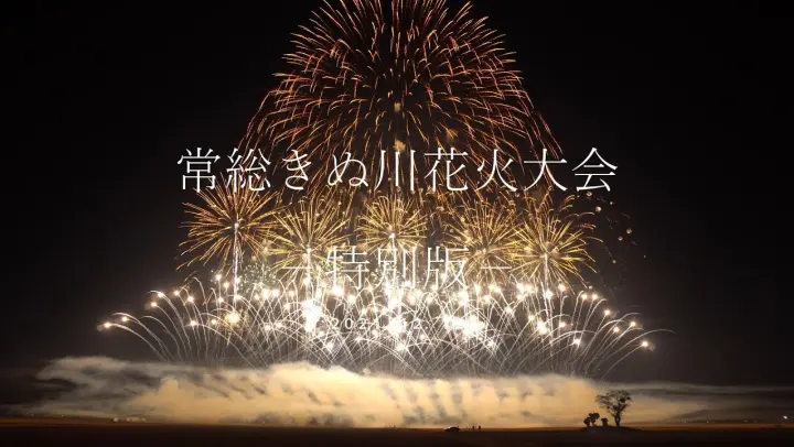 岩子地区大花火大会 Bilibili