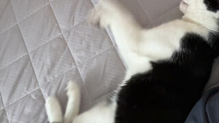 Qi Pin kembali mengalami mimpi buruk～