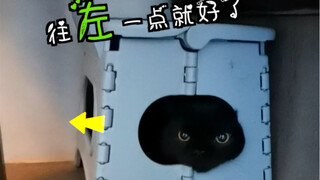 I can really feel it: this stool is trembling! 55555