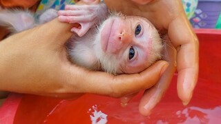 Morning Routine!! Take a bath for tiny adorable Luca keeps him healthy & hygiene all the times