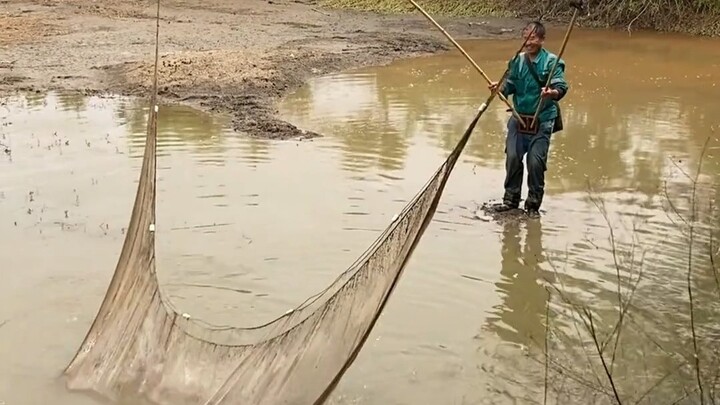 เกือบถูกรายงานว่าใช้พลังงานใหม่ในการจับปลาเลย!