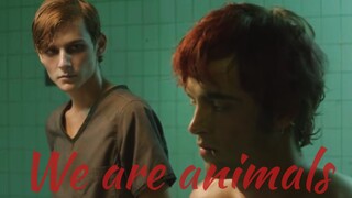 【我们是野兽.美强】“释放你内心的野兽”We Are Animals(大哥大嫂真的太酷了！）