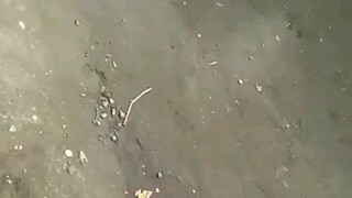 This Video was taken on December 11, 2023 at 10:09 AM