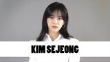 10 Things You Didn't Know About Kim Sejeong (김세정) | Star Fun Facts