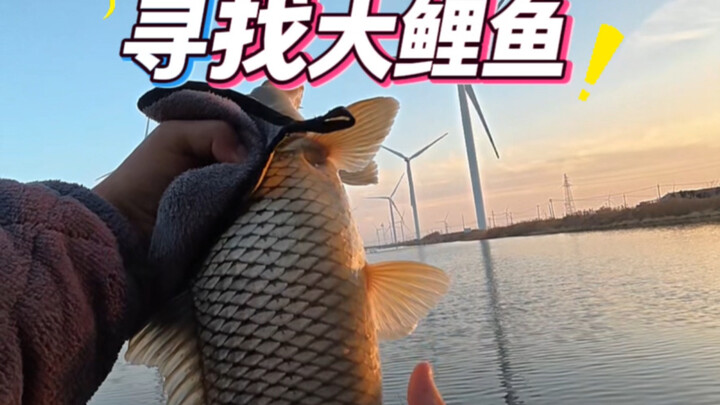 ตกปลาธรรมชาติช่วงเย็น ตามหาปลาคาร์พตัวใหญ่