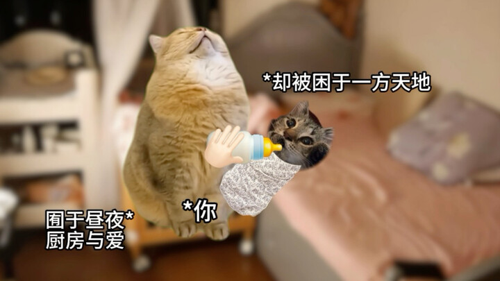 ชีวิตก็คือการที่ทุกอย่างไม่เป็นดังใจหวังนั่นเอง