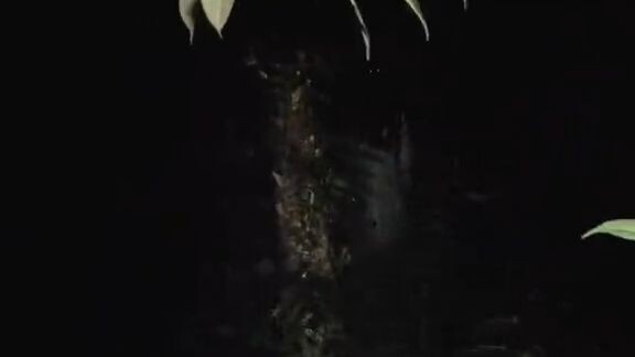 penampakan kunti seram