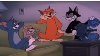 Tom và Jerry: Bạn còn nhớ chuyện tam giác mèo hoang không?