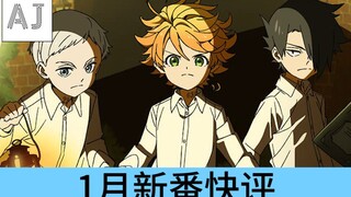 [New Anime Quick Review] I just wanted to watch one episode, but it’s already dawn! ?