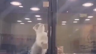 这是他妈的爱情吧！？