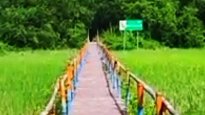 আমাদের এলাকার অসাধারণ ইকোপার্ক, 🌿💚@voice Bangladesh 🇧🇩