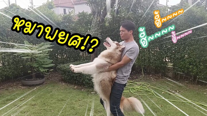 ไปคึกมาจากไหน?