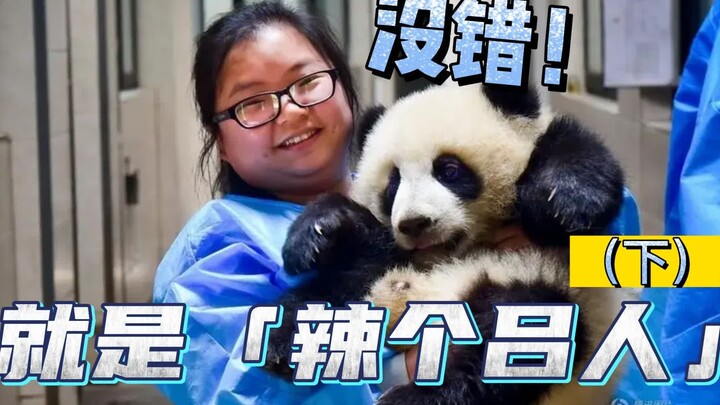The woman who makes panda fans worldwide green with envy—aka “That Sassy Lü Ren” (Part 2)!
