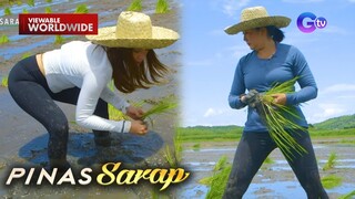 Kara David at Jackie Gonzaga, nagpagalingan sa pagtatanim ng palay | Pinas Sarap