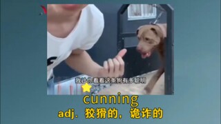 《它还是没有精过我》 cunning：adj. 狡猾的，诡诈的