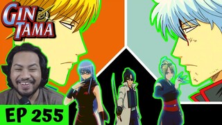 WAIFUS UNITE TO PROTECT GIN! | Gintama Episode 255 [REACTION]