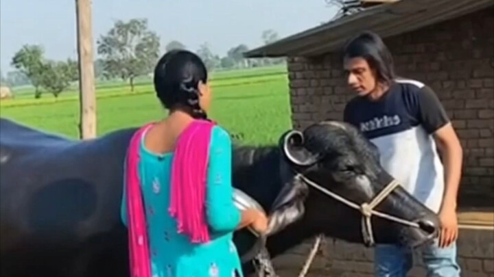 entertainment video