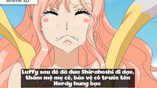 Top 6 Mĩ Nhân Trong Dàn Harem Của Luffy p2