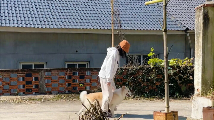 Bella, the “dog” of the day
