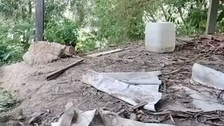 Wag kana malungkot panoorin mo toh dali si "Hii guyss" 🤣🤣#cttro