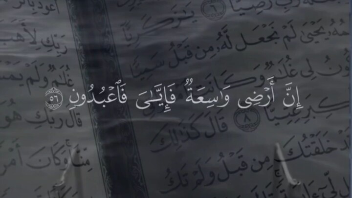 silentsujoodxSurah Al-Ankabut, Avat 56 g@silentsujoodx/1---Don't remix or post my reelsIslamic ReelQ