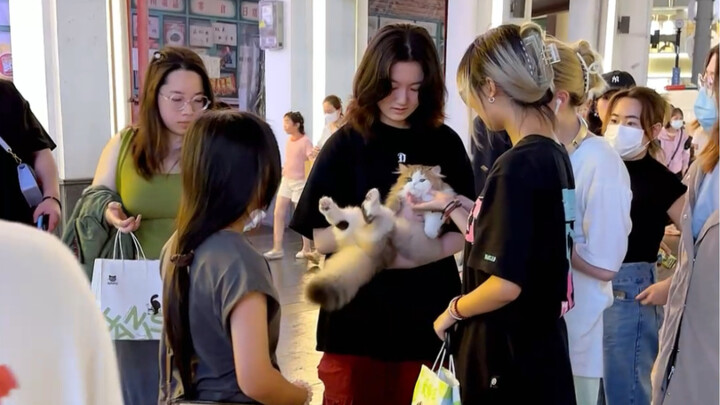 Don’t say I haven’t lent it to you to play with!