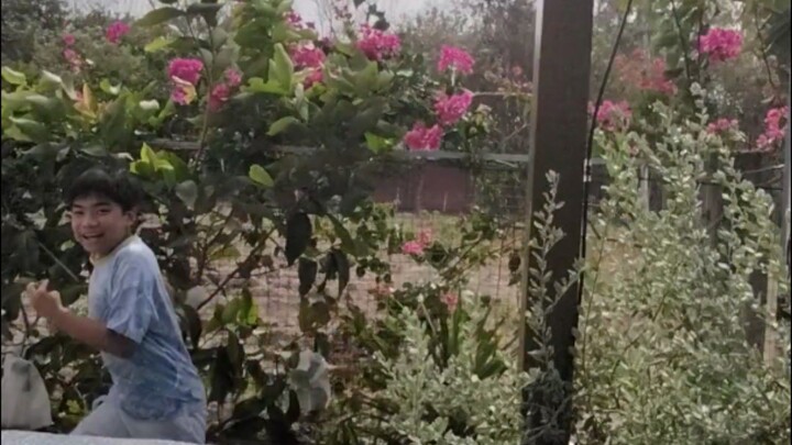 tenge hết thời  đến thời bình dương