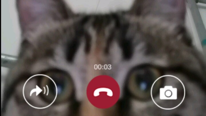 When you video call your boyfriend who’s busy gaming—it’s so relatable!