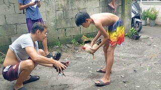 win ala sugat dehado