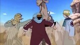 One Piece Funny Moments | The Hard Boiled Camel | LOL
