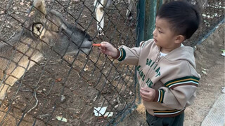 养娃人永远无法躲过的地点之动物园