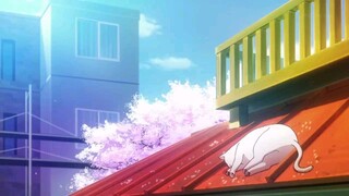 Sakurasou no Pet na Kanojo tập 24 [tập cuối]